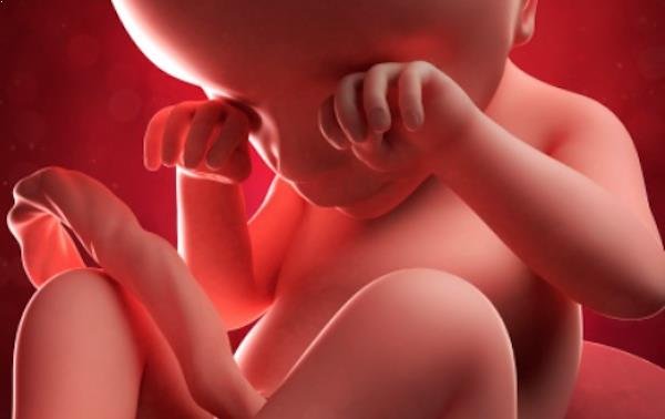 Las 8 Cosas Mas Sorprendentes Que Realiza El Bebe Dentro Del Utero Embarazo Babysitio