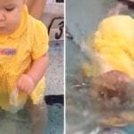 Un bebé de seis meses cae al agua y flota para no ahogarse