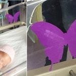 Cuidado con lo que dices si ves una mariposa violeta en la cuna de un bebé