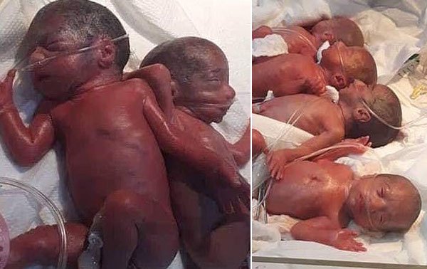 ¡Súper mamá! Una mujer de 25 años dio a luz a siete bebés en un solo parto natural