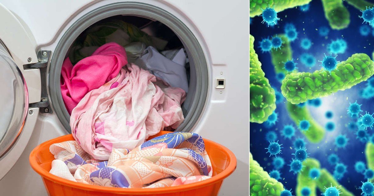 Especialistas revelan por cuánto tiempo se puede dejar la ropa lavada dentro del |