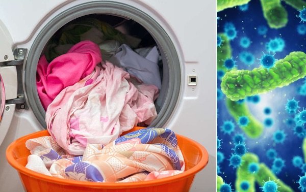 Especialistas revelan por cuánto tiempo se puede dejar la ropa lavada dentro del lavarropas